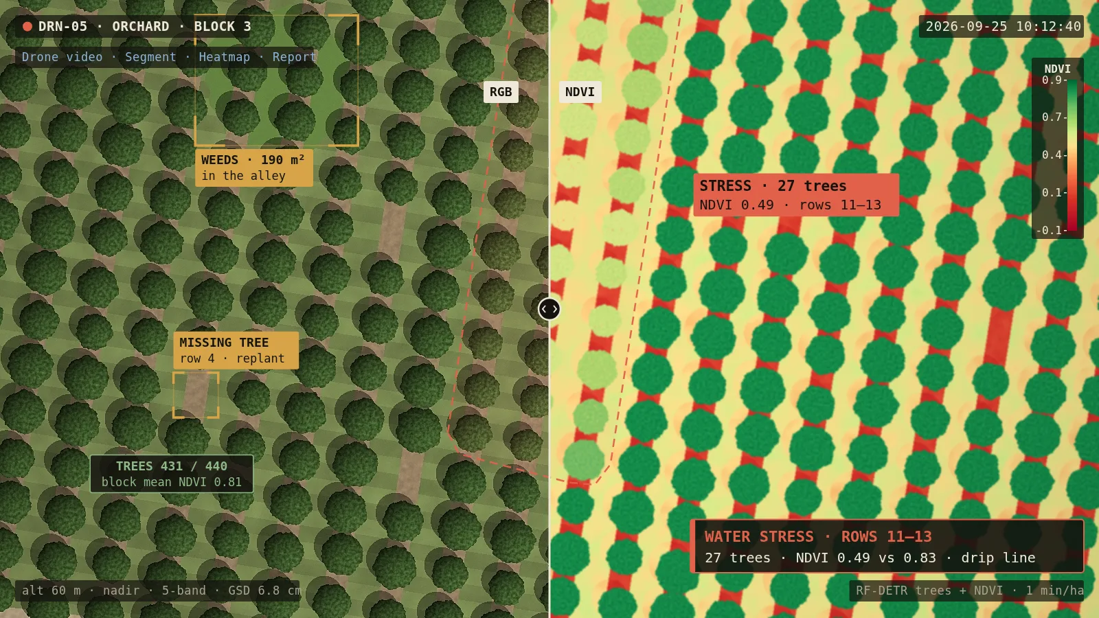 AI-generated camera view: Orchards & field crops