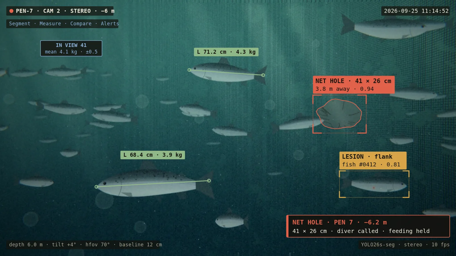AI-generated camera view: Fish farms