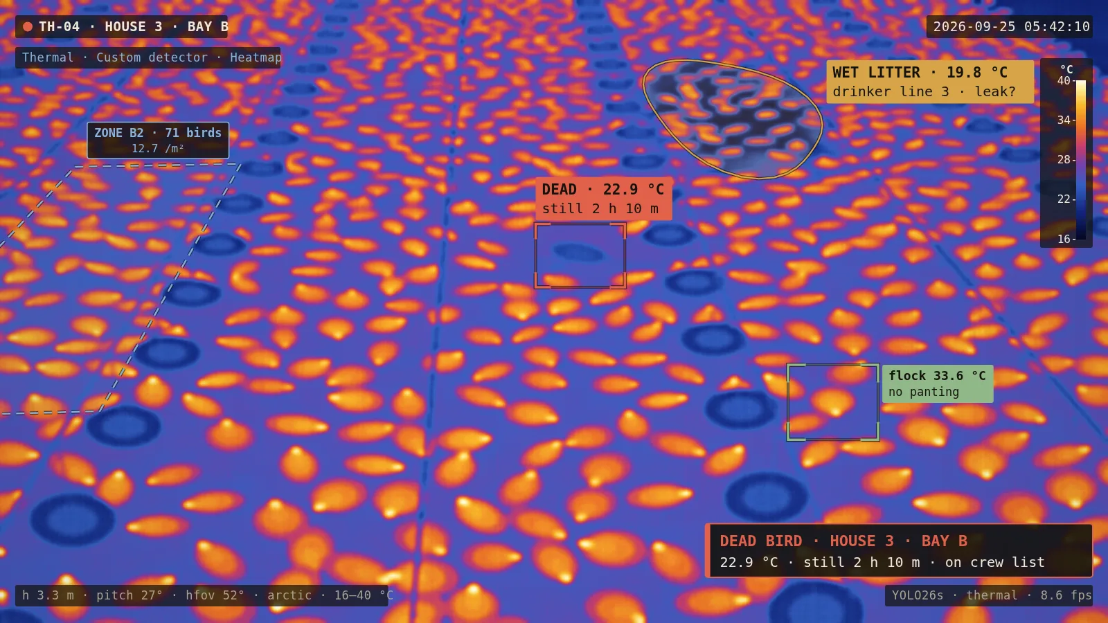 AI-generated camera view: Poultry & egg farms